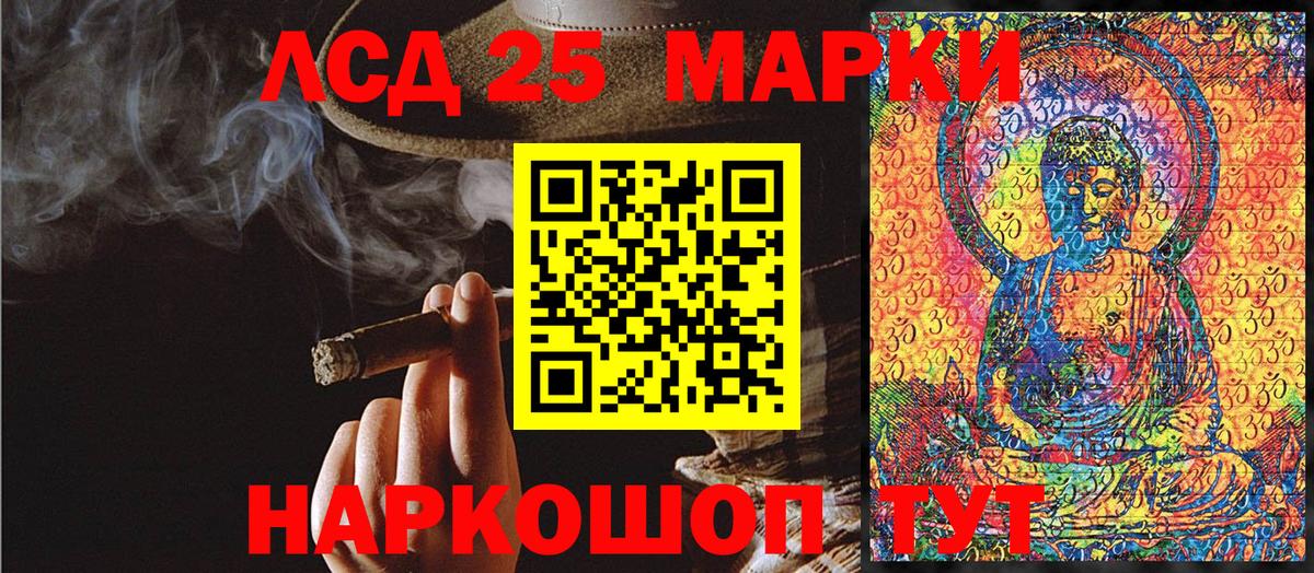 Псилоцибиновые грибы Вологда