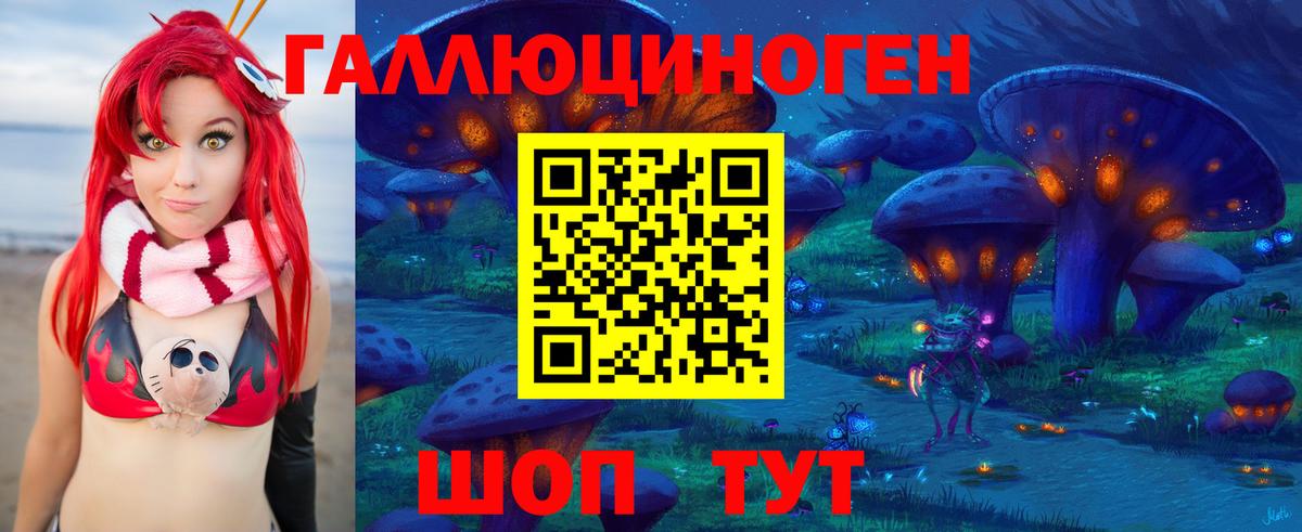 Галлюциногенные грибы Psilocybe  Псилоцибиновые грибы Psilocybe  Вологда  Вход с VPN 